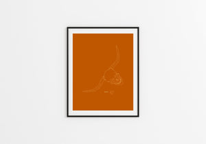 #1002 Hook 'em Fine Art Print