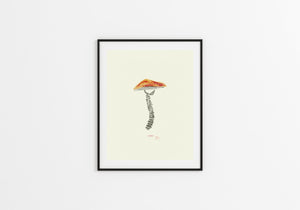 #1010 Skeleshroom Fine Art Print