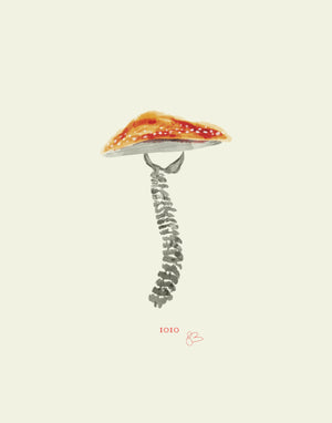 #1010 Skeleshroom Fine Art Print